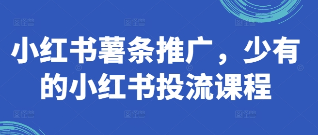 小红书薯条推广，少有的小红书投流课程-腾渊网创