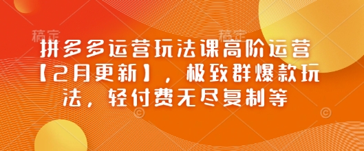 拼多多运营玩法课高阶运营【2月更新】，极致群爆款玩法，轻付费无尽复制等-腾渊网创