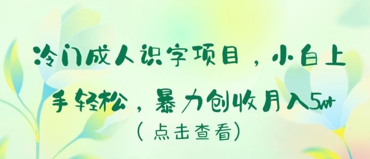 冷门成人识字项目，小白上手轻松，暴力创收月入5w+【揭秘】-腾渊论坛