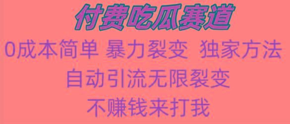 吃瓜付费赛道，暴力无限裂变，0成本，实测日入700+！！！-腾渊网创