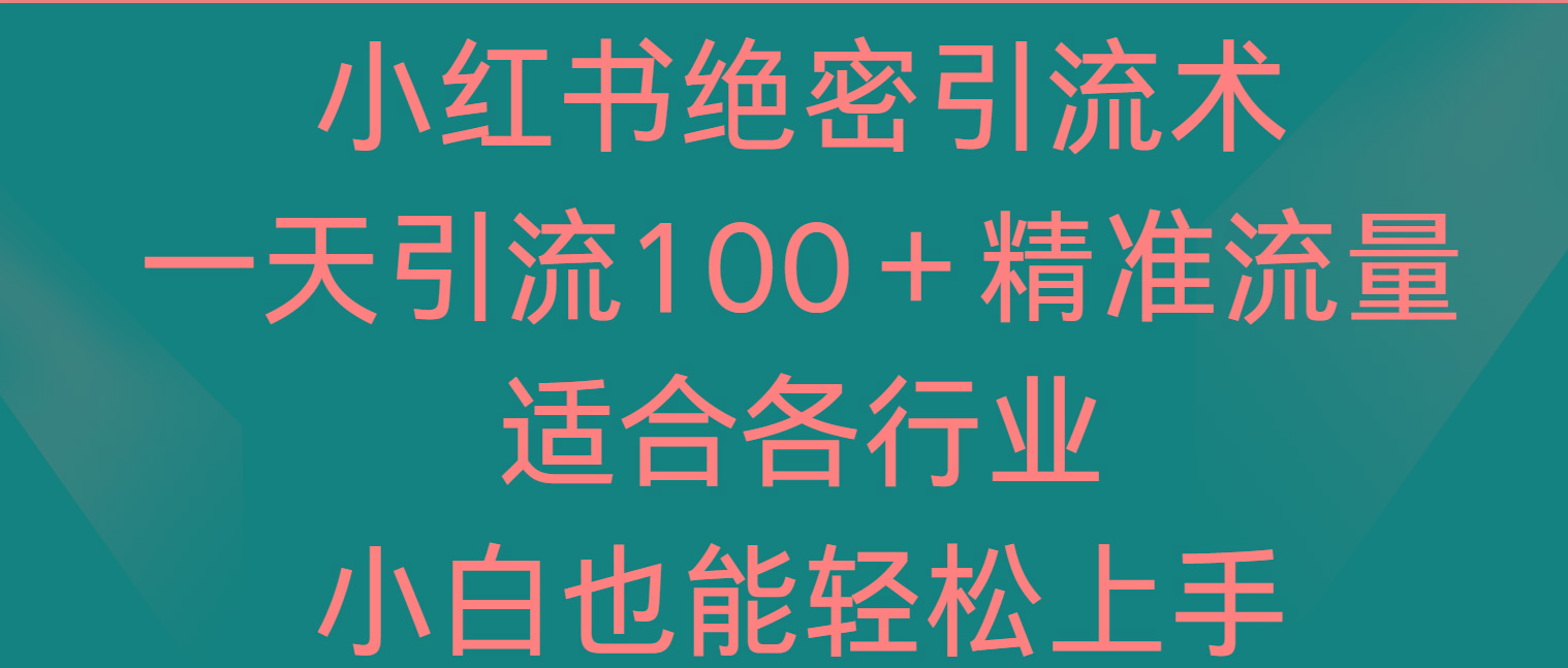 小红书绝密引流术，一天引流100＋精准流量，适合各个行业，小白也能轻松上手-腾渊网创