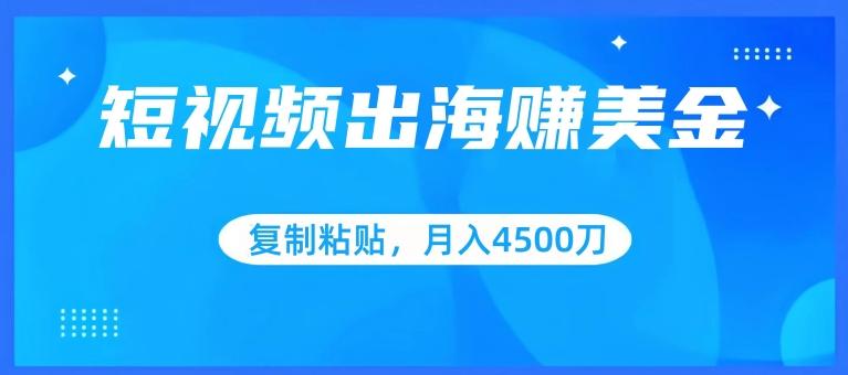 短视频出海赚美金，复制粘贴批量操作，小白轻松掌握，月入4500美刀【揭秘】-腾渊论坛