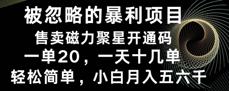 被忽略的暴利项目！售卖磁力聚星开通码，一单20，一天十几单，轻松月入五六千-腾渊论坛