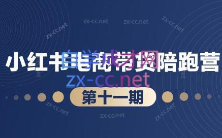 盗坤·小红书电商带货陪跑营(第十一期)-腾渊网创