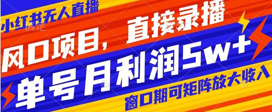 风口项目，小红书无人直播带货，直接录播，可矩阵，月入5w+【揭秘】-腾渊网创