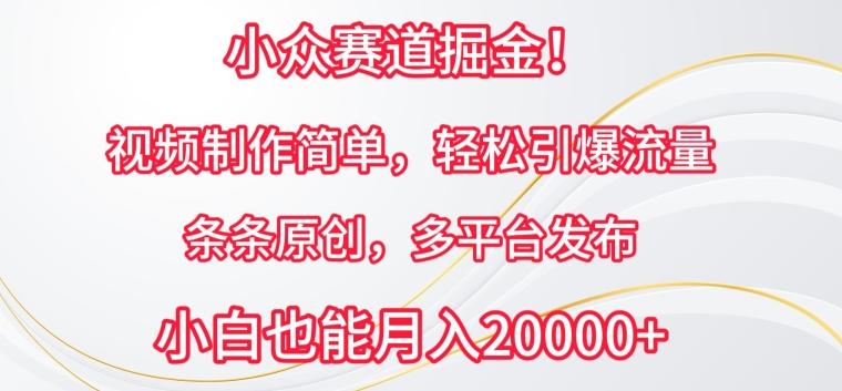 小众赛道掘金，视频制作简单，轻松引爆流量，条条原创，多平台发布【揭秘】-腾渊论坛