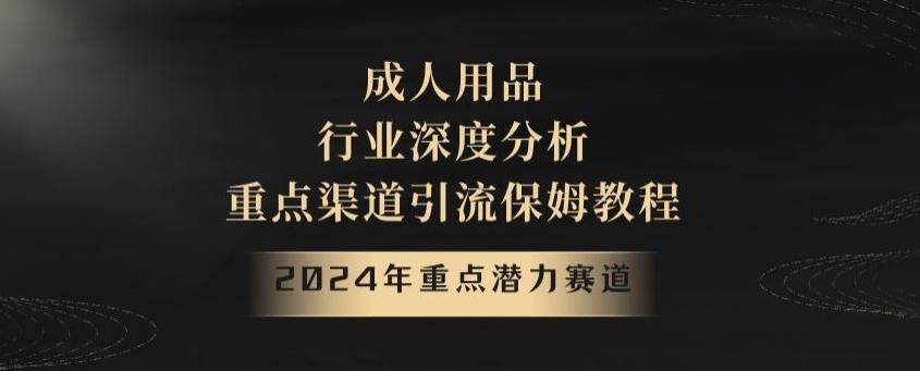 2024年重点潜力赛道，成人用品行业深度分析，重点渠道引流保姆教程【揭秘】-腾渊论坛