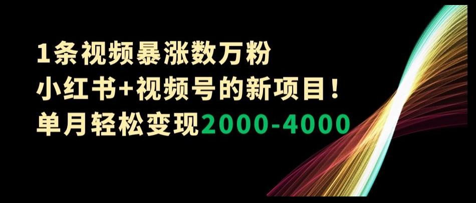 1条视频暴涨数万粉--小红书+视频号的新项目！单月轻松变现2000-4000【揭秘】-腾渊论坛