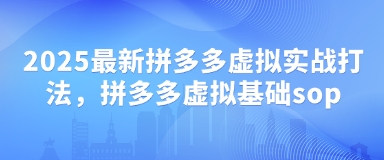 2025最新拼多多虚拟实战打法，拼多多虚拟基础sop-腾渊论坛