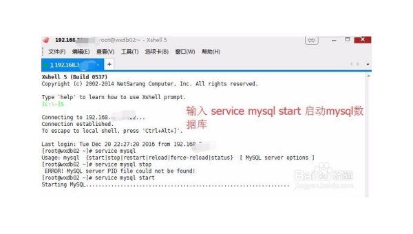 linux下mysql授权账号密码是什么意思-腾渊论坛