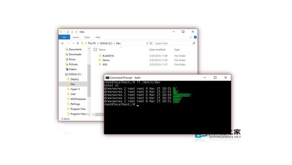 linux下如何启动bash-腾渊论坛