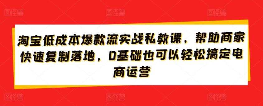 淘宝低成本爆款流实战私教课，帮助商家快速复制落地，0基础也可以轻松搞定电商运营-腾渊网创