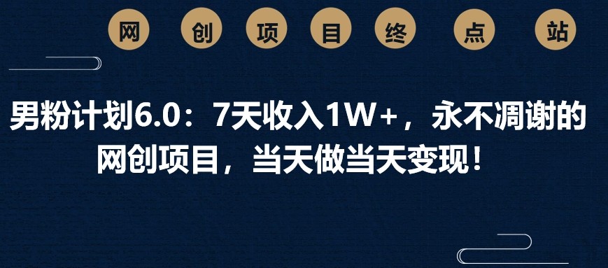 男粉计划6.0：7天收入1W+，永不凋谢的网创项目，当天做当天变现！-腾渊网创