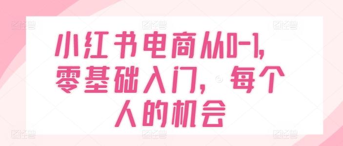 小红书电商从0-1，零基础入门，每个人的机会-腾渊网创
