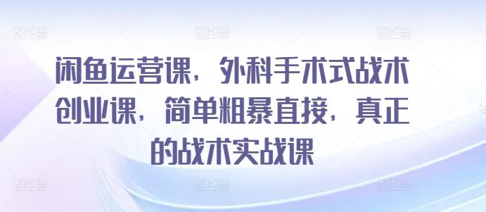 闲鱼运营课，外科手术式战术创业课，简单粗暴直接，真正的战术实战课-腾渊网创