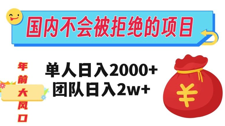 在国内不怕被拒绝的项目，单人日入2000，团队日入20000+【揭秘】-腾渊网创