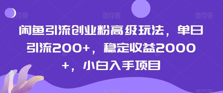 闲鱼引流创业粉高级玩法，单日引流200+，稳定收益2000+，小白入手项目-腾渊网创