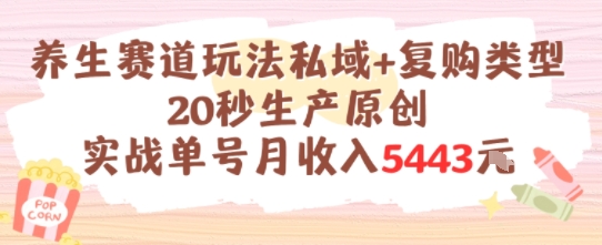 养生赛道玩法私域+复购类型，20秒生产原创实战单号月收入5k+-腾渊网创
