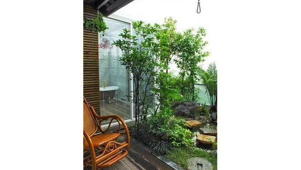 院子里种植梅树的风水好处-腾渊论坛