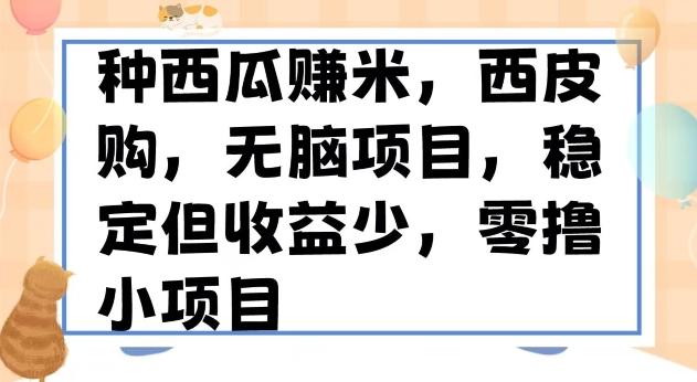 种西瓜赚米，西皮购稳定长久零撸小项目-腾渊论坛