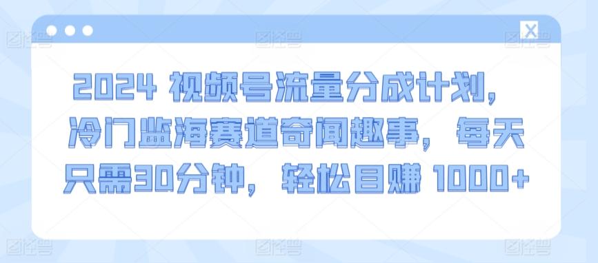 2024视频号流量分成计划，冷门监海赛道奇闻趣事，每天只需30分钟，轻松目赚 1000+【揭秘】-腾渊网创