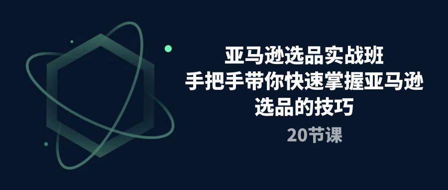 亚马逊选品实战班，手把手带你快速掌握亚马逊选品的技巧(20节课-腾渊网创