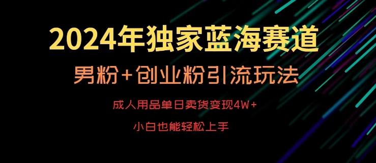 2024年独家蓝海赛道，成人用品单日卖货变现4W+，男粉+创业粉引流玩法，不愁搞不到流量【揭秘】-腾渊网创