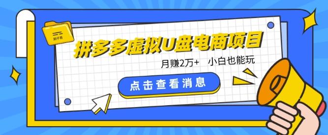 拼多多虚拟U盘电商红利项目：月赚2万+，新手小白也能玩-腾渊论坛