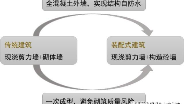 tipask 问答系统域名选择对 SEO 的影响-腾渊论坛