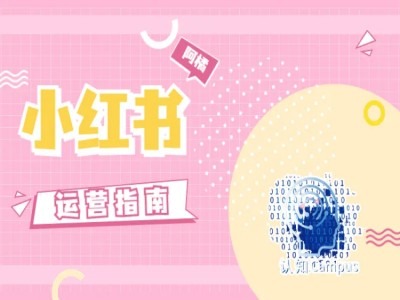 小红书运营指南，没有套路，全是经验-腾渊网创