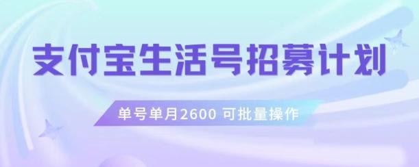支付宝生活号作者招募计划，单号单月2600，可批量去做，工作室一人一个月轻松1w+【揭秘】-腾渊论坛