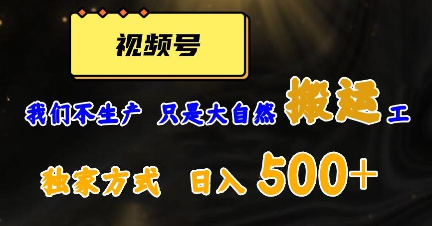 视频号轻松搬运日赚500+，一个1分钟1条原创视频【揭秘】-腾渊网创