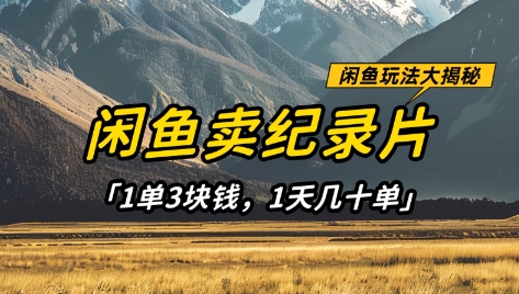 闲鱼卖纪录片1单3块钱，1天几十单，项目稳定有潜力-腾渊网创