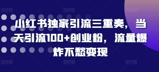 小红书独家引流三重奏，当天引流100+创业粉，流量爆炸不愁变现【揭秘】-腾渊网创