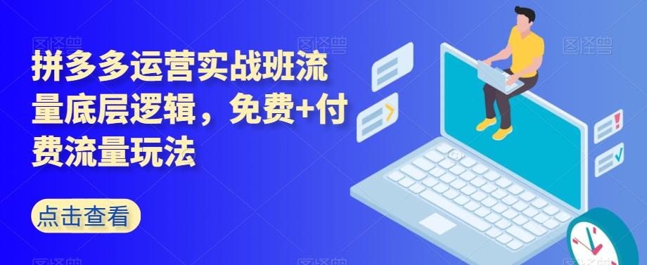 拼多多运营实战班流量底层逻辑，免费+付费流量玩法-腾渊论坛