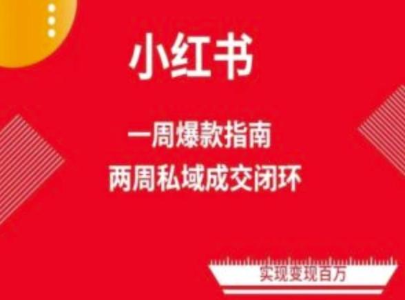 爆款小红书免费流量体系课程(两周变现)，小红书电商教程-腾渊论坛
