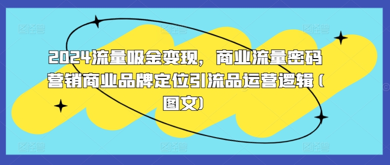 2024流量吸金变现，商业流量密码营销商业品牌定位引流品运营逻辑(图文)-腾渊网创