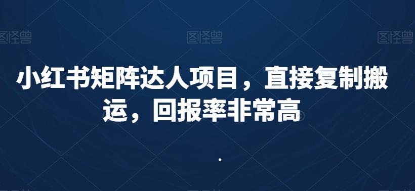 小红书矩阵达人项目，直接复制搬运，回报率非常高-腾渊网创