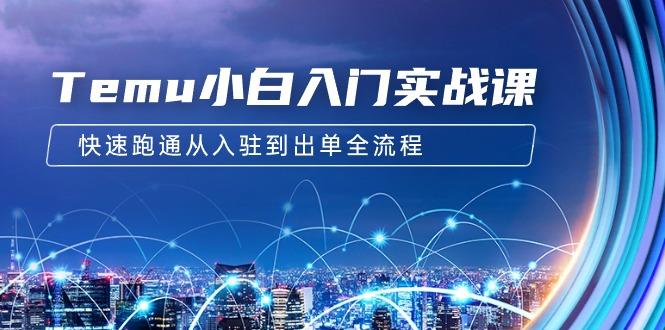 (9295期)Temu小白入门实战课：跨境拼多多电商培训 快速跑通从入驻到出单全流程-12节-腾渊网创