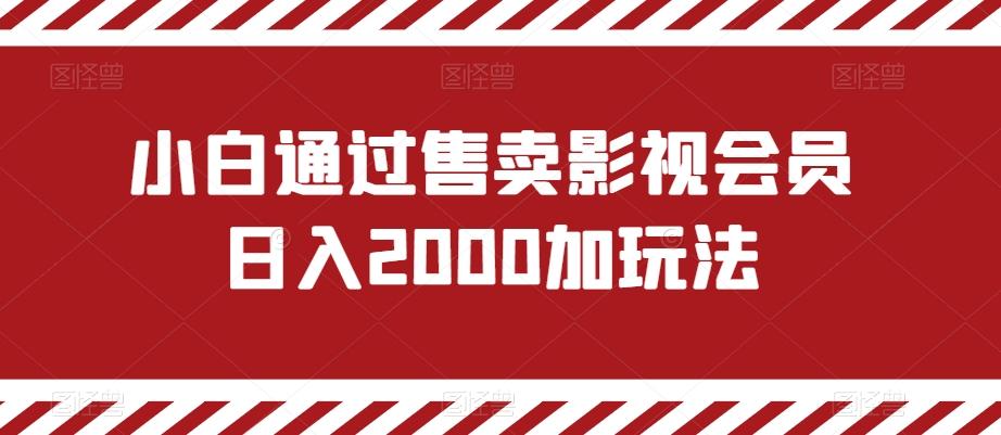 小白通过售卖影视会员日入2000加玩法-腾渊网创