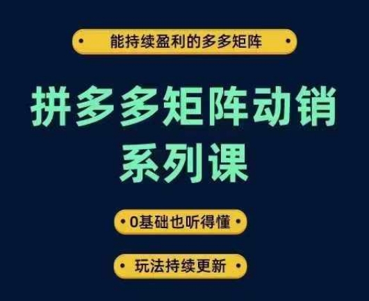 拼多多矩阵动销系列课，能持续盈利的多多矩阵，0基础也听得懂，玩法持续更新-腾渊网创