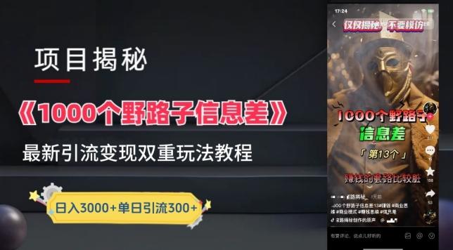 一千个野路子信息差最新玩法教程-变现+引流的玩法具体拆解【揭秘】-腾渊论坛