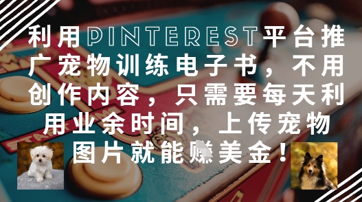 利用Pinterest平台推广宠物训练电子书，不用创作内容，只需要每天利用业余时间，上传宠物图片就能挣美金!-腾渊网创