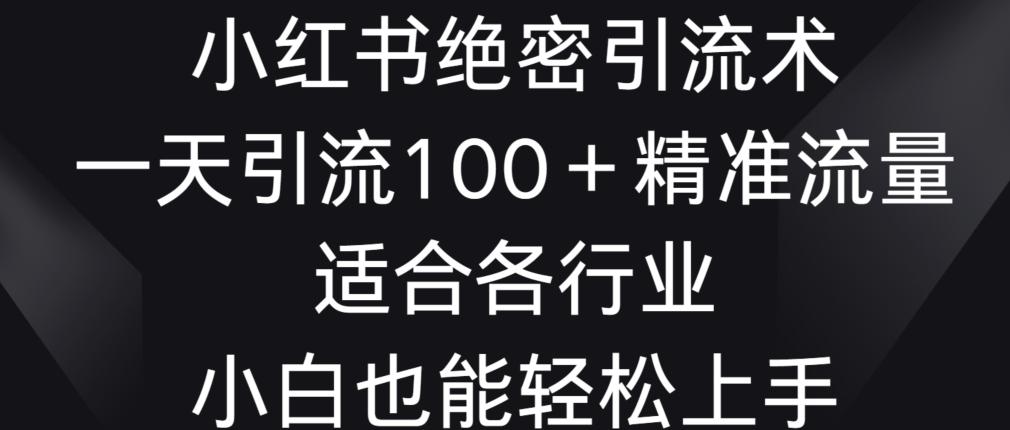 小红书绝密引流术，一天引流100+精准流量，适合各个行业，小白也能轻松上手【揭秘】-腾渊网创