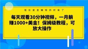 每天观看30分钟视频，一月躺赚1000+美金！保姆级教程，可放大操作【揭秘】-腾渊网创