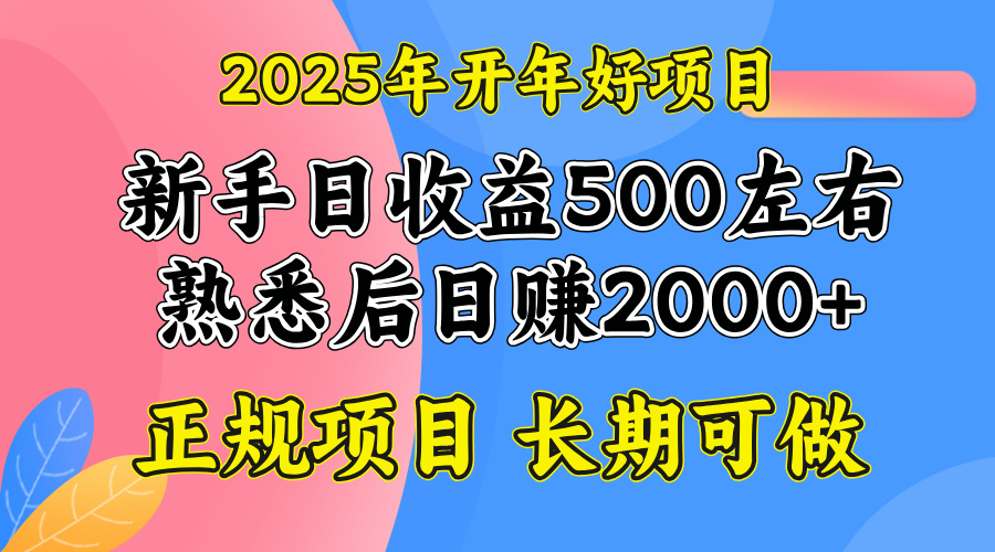 2025开年好项目，单号日收益2000左右-腾渊论坛