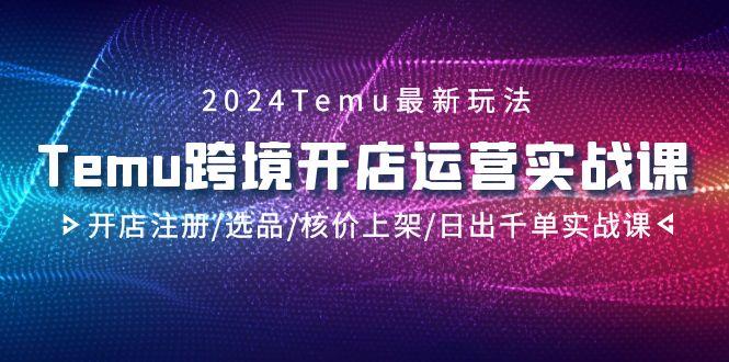 2024Temu跨境开店运营实战课，开店注册/选品/核价上架/日出千单实战课-腾渊网创