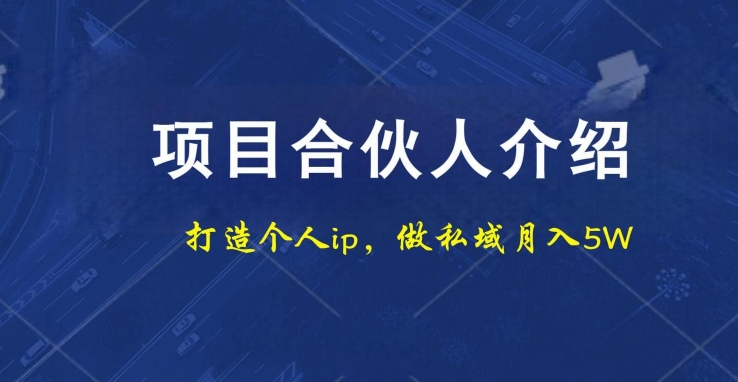项目合伙人项目，打造个人IP，做私域月入5W，小白勿扰-腾渊论坛