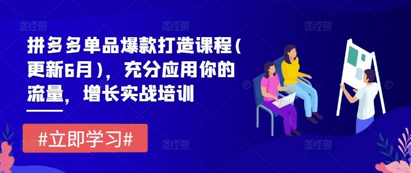 拼多多单品爆款打造课程(更新6月)，充分应用你的流量，增长实战培训-腾渊网创