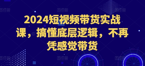 2024短视频带货实战课，搞懂底层逻辑，不再凭感觉带货-腾渊网创